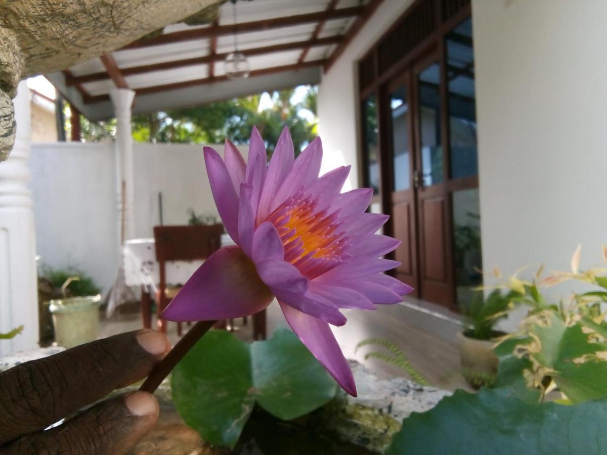 Sisila Villa Bentota Exterior foto